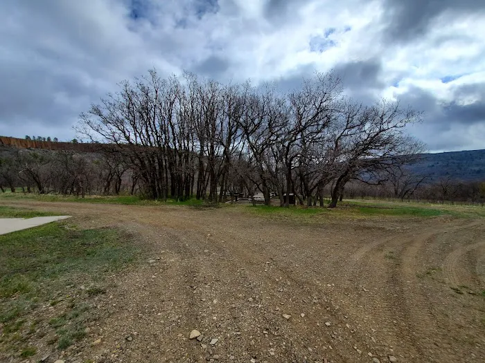 Gambel Oak Group Campground 1