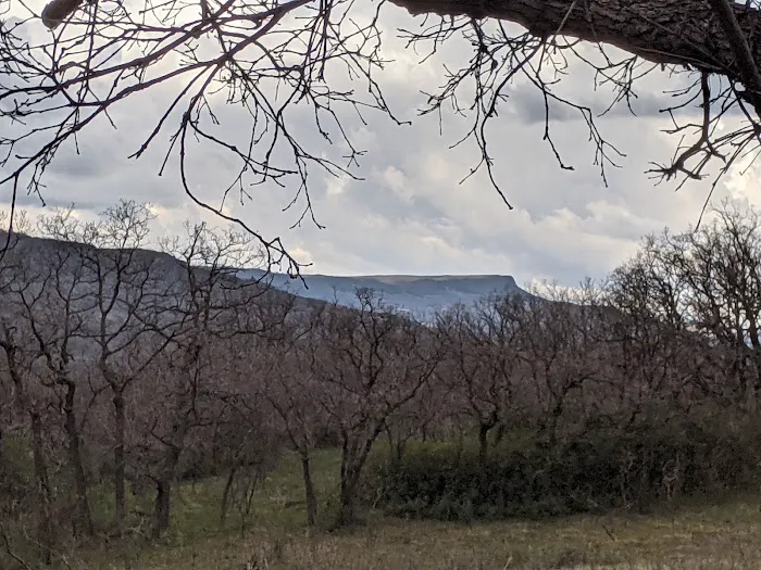 Gambel Oak Group Campground 0