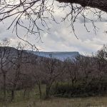 Gambel Oak Group Campground