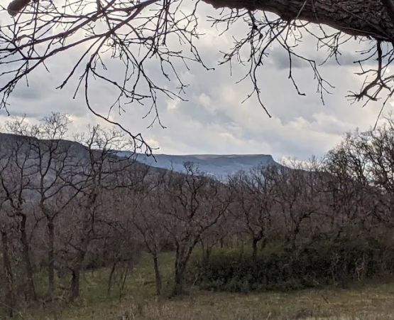 Gambel Oak Group Campground