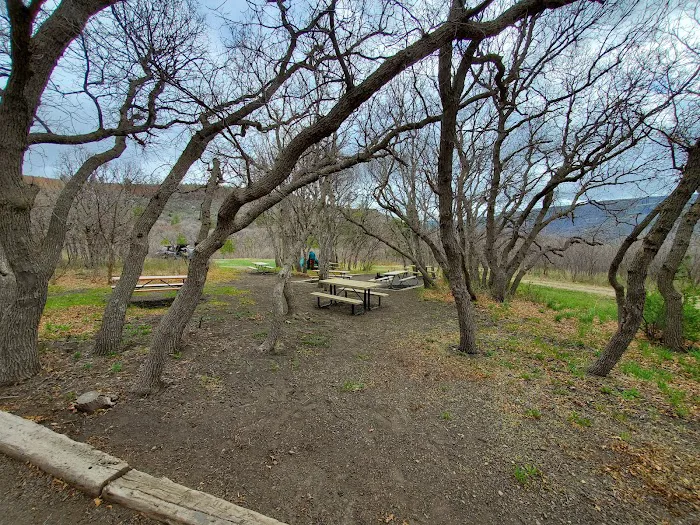 Gambel Oak Group Campground 3