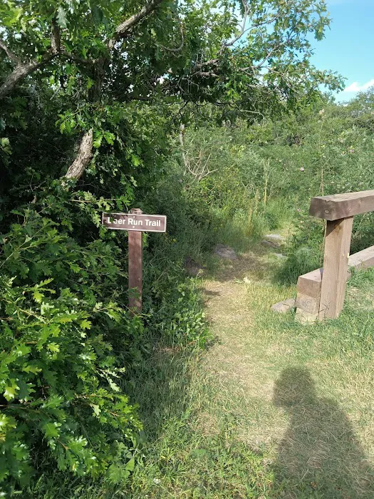 Soda Pocket Campground 3