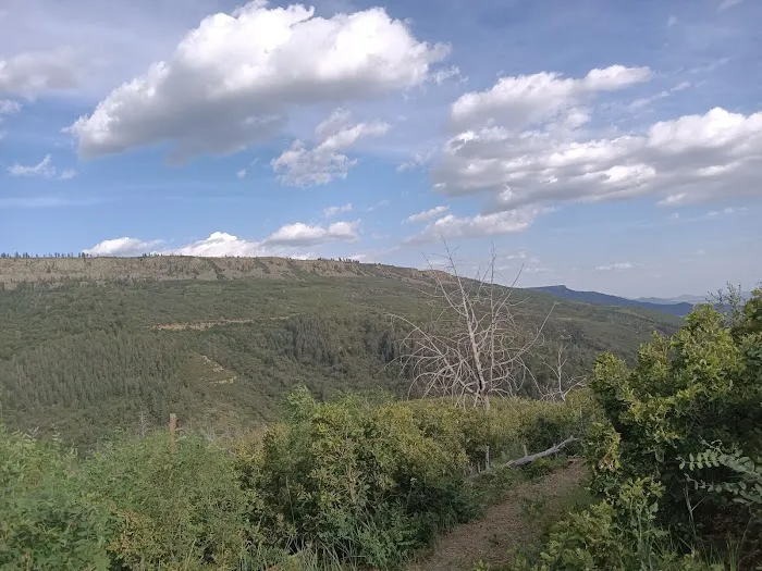 Soda Pocket Campground 6