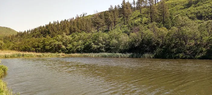 Lake Alice Campground 1