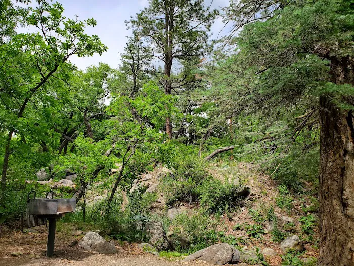 Lake Alice Campground 5