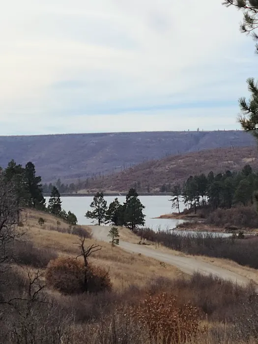 Lake Alice Campground 2