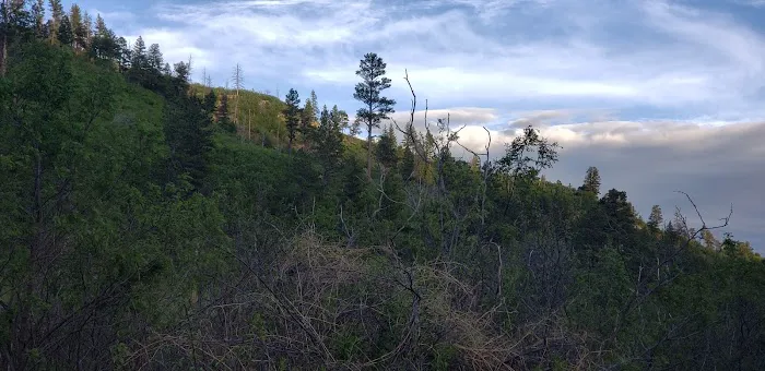 Lake Alice Campground 0