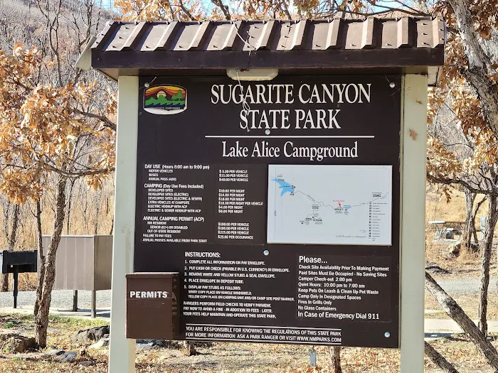 Lake Alice Campground 9