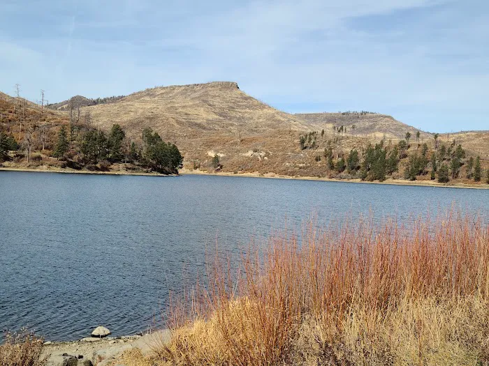Lake Alice Campground 7