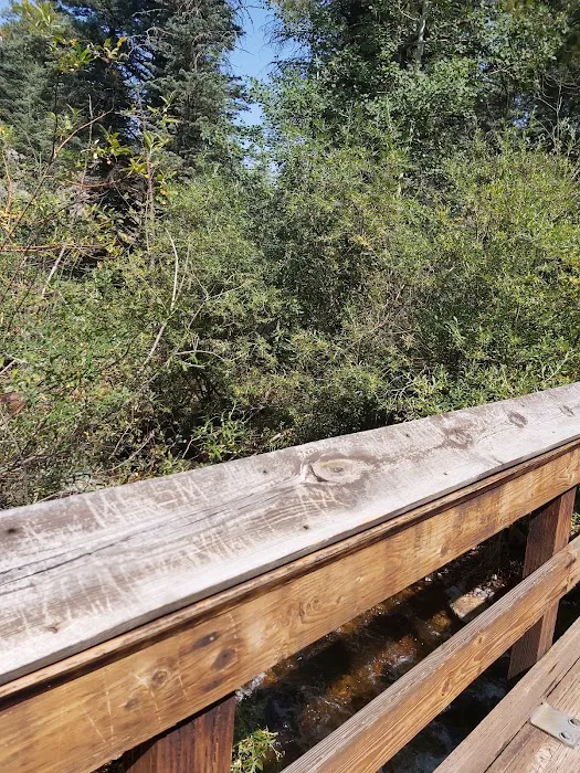 Lake Isabel Picnic and Day Use Area (Southside) 8