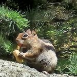 Lake Isabel Picnic and Day Use Area (Southside)