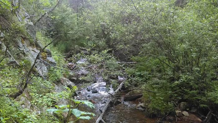 Ponderosa Group Campground 3