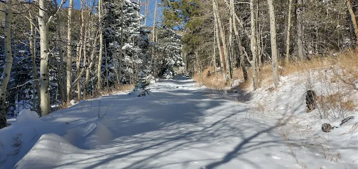 Ponderosa Group Campground 1