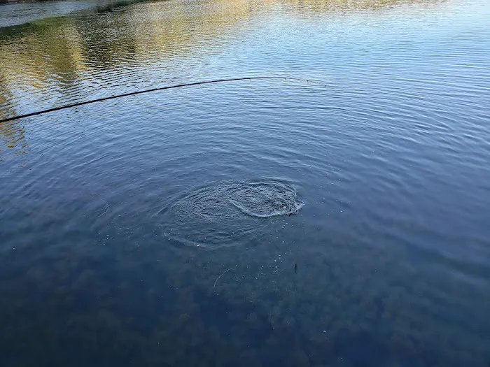 Lake Isabel North Shore Parking Area (recgovnpsdata) 0