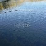 Lake Isabel North Shore Parking Area (recgovnpsdata)