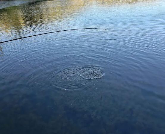Lake Isabel North Shore Parking Area (recgovnpsdata)
