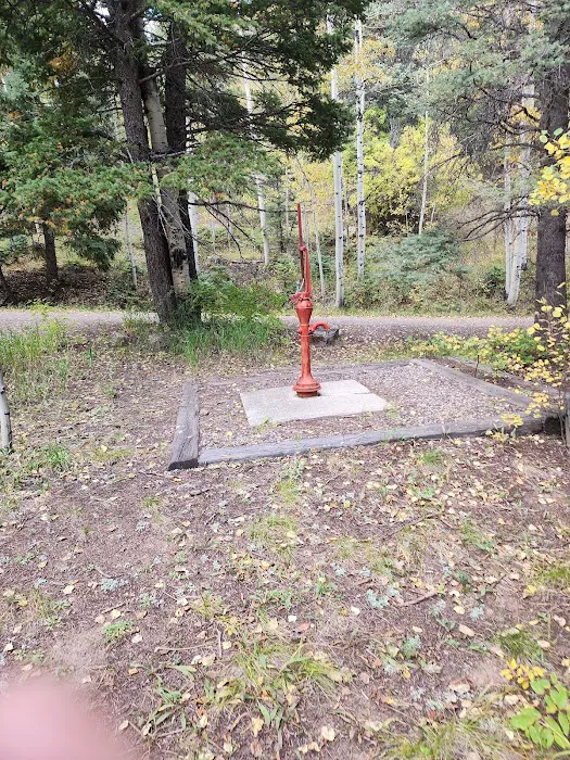 Spruce Group Campsite 2