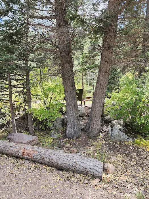 Spruce Group Campsite 5