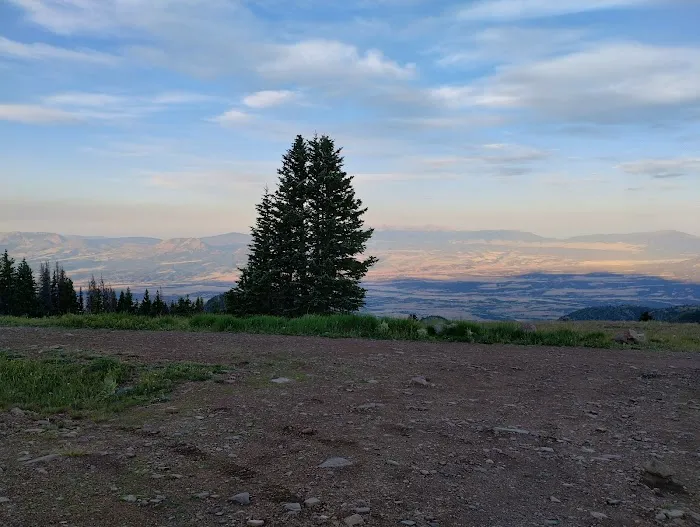 Ophir Creek Campground 7