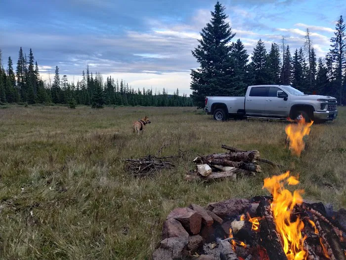 Ophir Creek Campground 3
