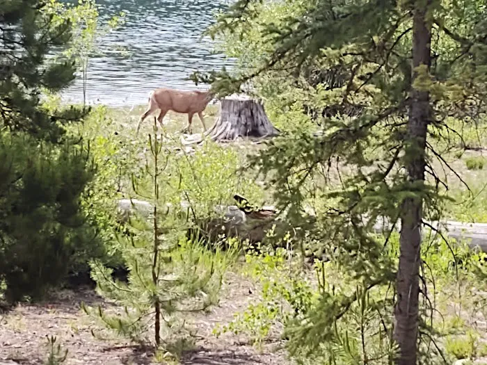 Hidden Lakes Campground 4