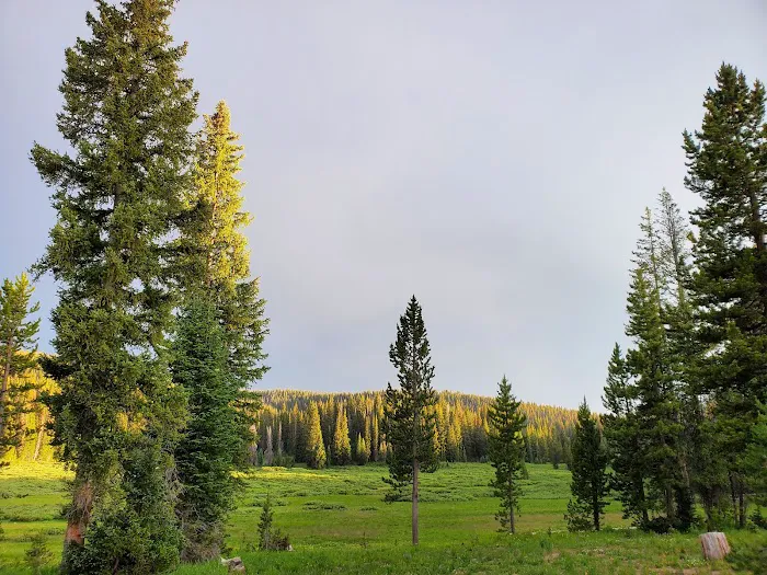 Meadows Campground 9