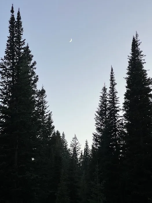 Meadows Campground 6