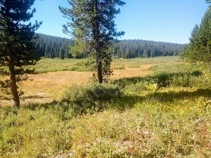 Meadows Campground 3