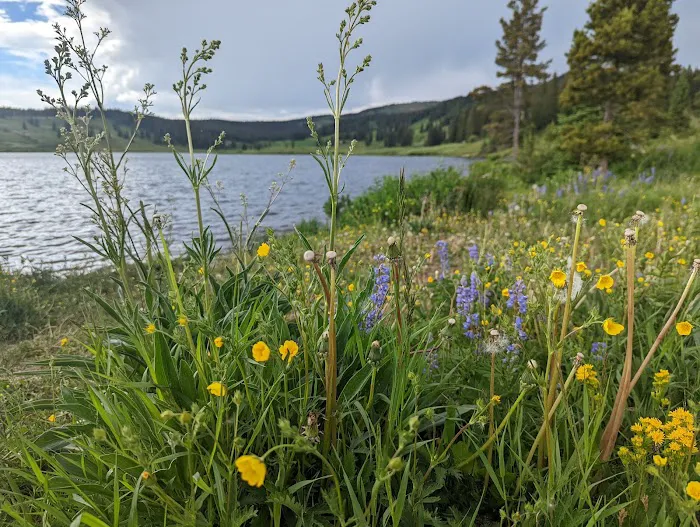 Dumont Lake Picnic Site (recgovnpsdata) 7