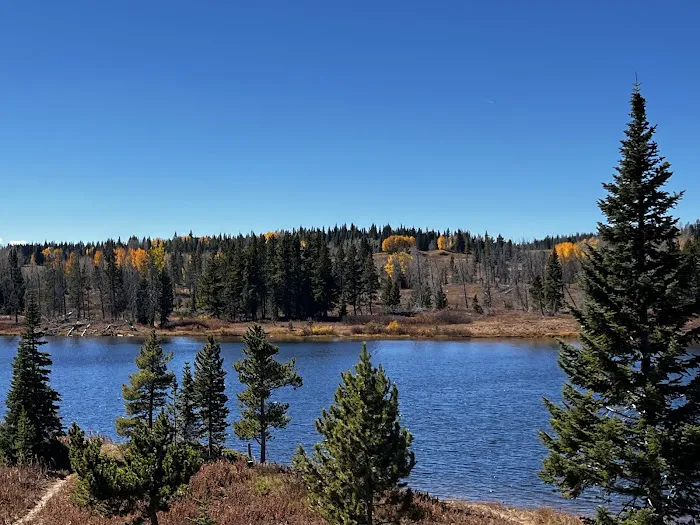 Dumont Lake Picnic Site (recgovnpsdata) 0