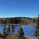 Dumont Lake Picnic Site (recgovnpsdata)