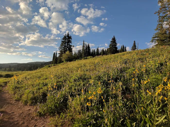 Dumont Lake Picnic Site (recgovnpsdata) 5