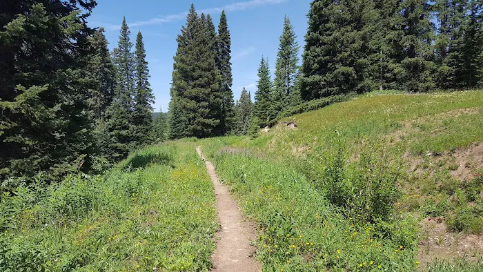 Dumont Lake Picnic Site (recgovnpsdata) 6