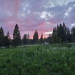 Dumont Lake Campground