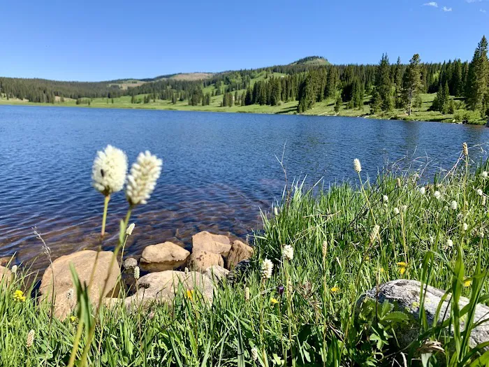 Dumont Lake Campground 2