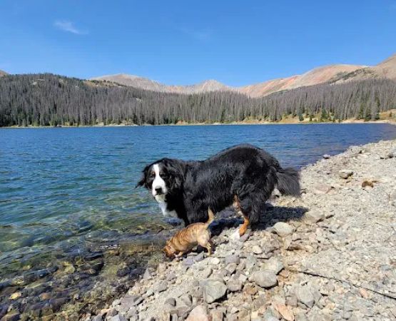 North Fork Campground