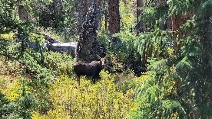 North Fork Campground 2