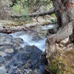 Angel of Shavano Campground