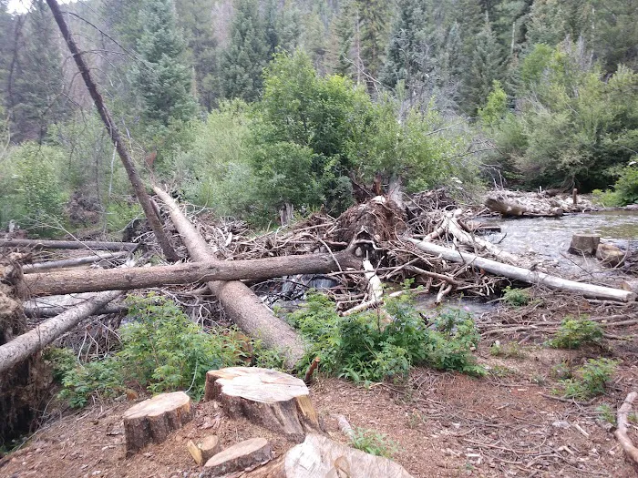 Angel of Shavano Campground 7