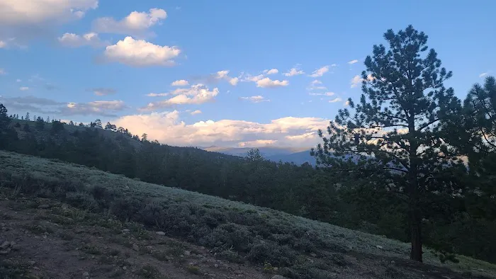 Twin Lakes Area North 5