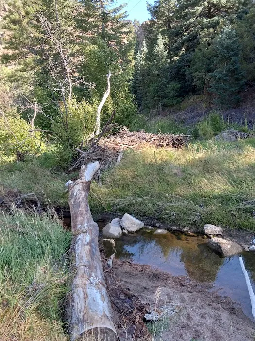 East Bear Trailhead (recgovnpsdata) 6