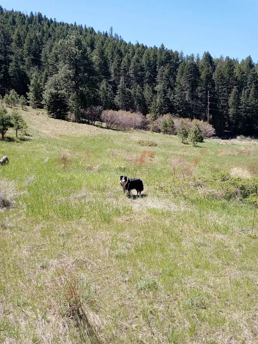 East Bear Trailhead (recgovnpsdata) 8