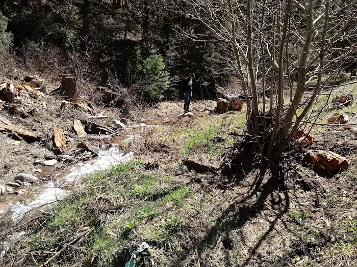 North Creek Campground 1