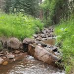 North Creek Campground