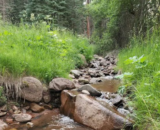 North Creek Campground
