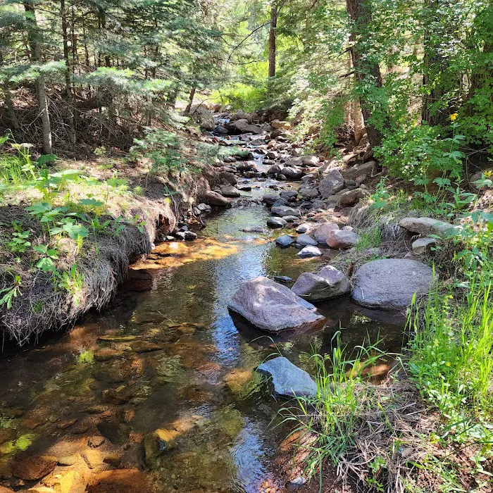 North Creek Campground 7