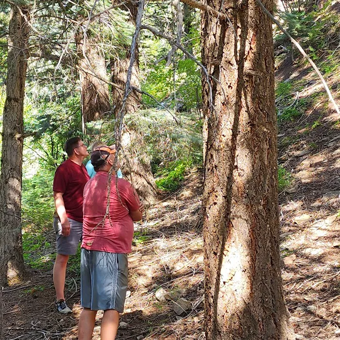 North Creek Campground 5
