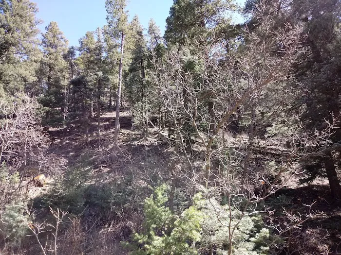 North Creek Campground 6