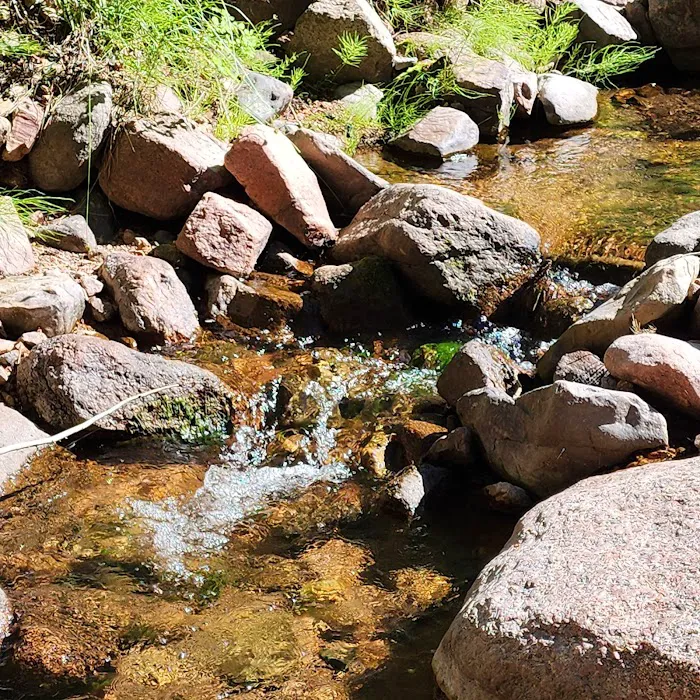 North Creek Campground 8