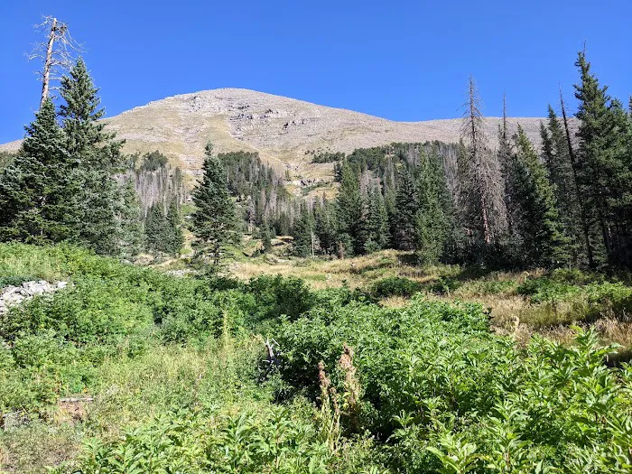 South Colony Basin 8